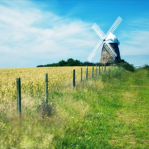 国产老熟女无套中出
